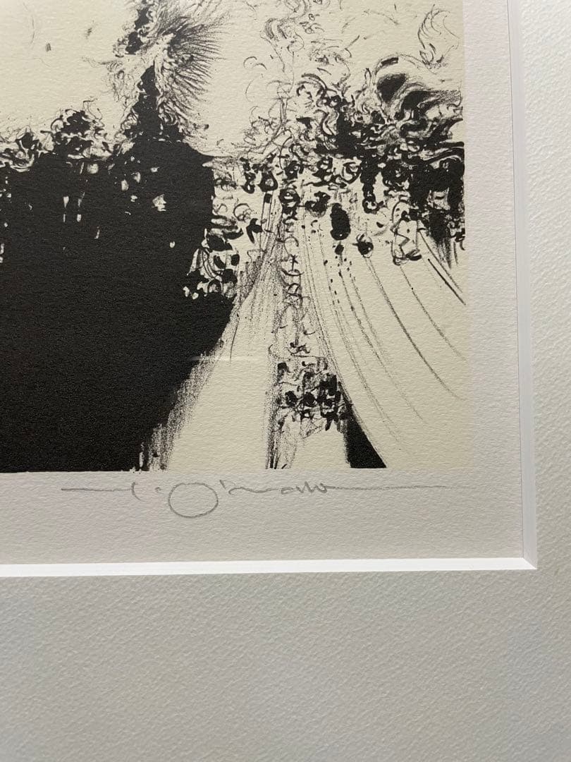 天野喜孝　リトグラフ ジュワンドルー　直筆サイン値上がり間違いなし　7/100