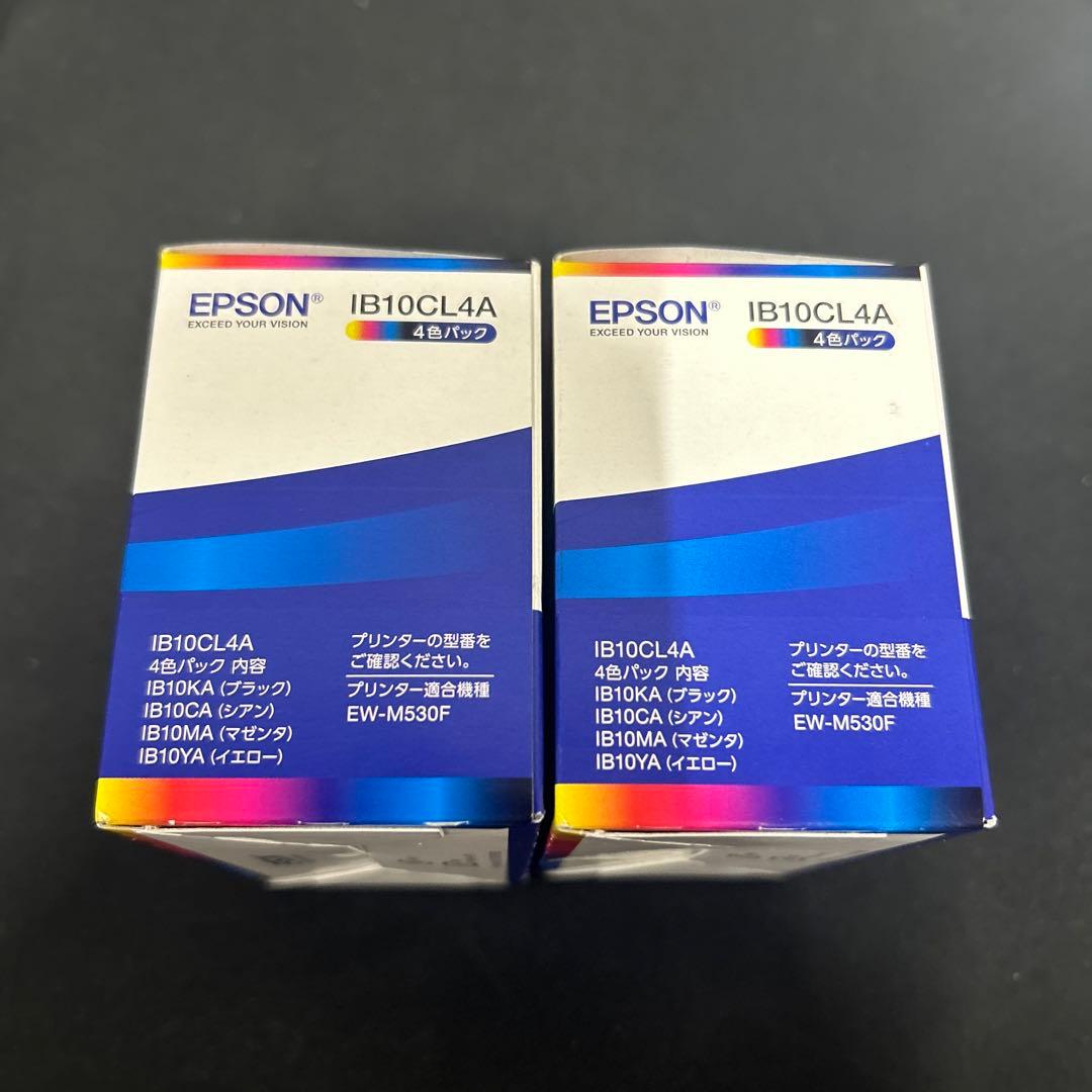 エプソン 純正 インクカートリッジ カードケース IB10CL4A