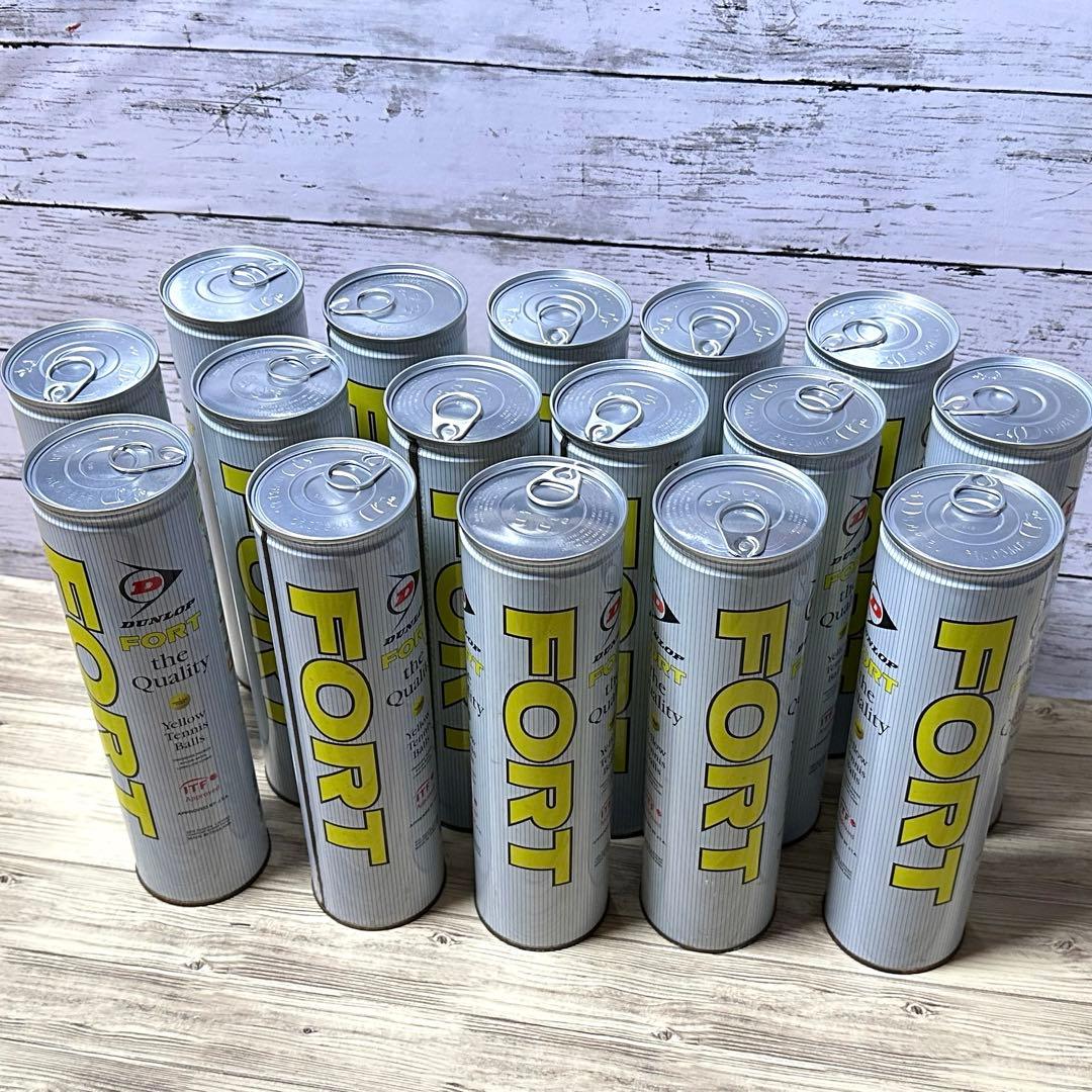 FORT テニスボール 16本セット