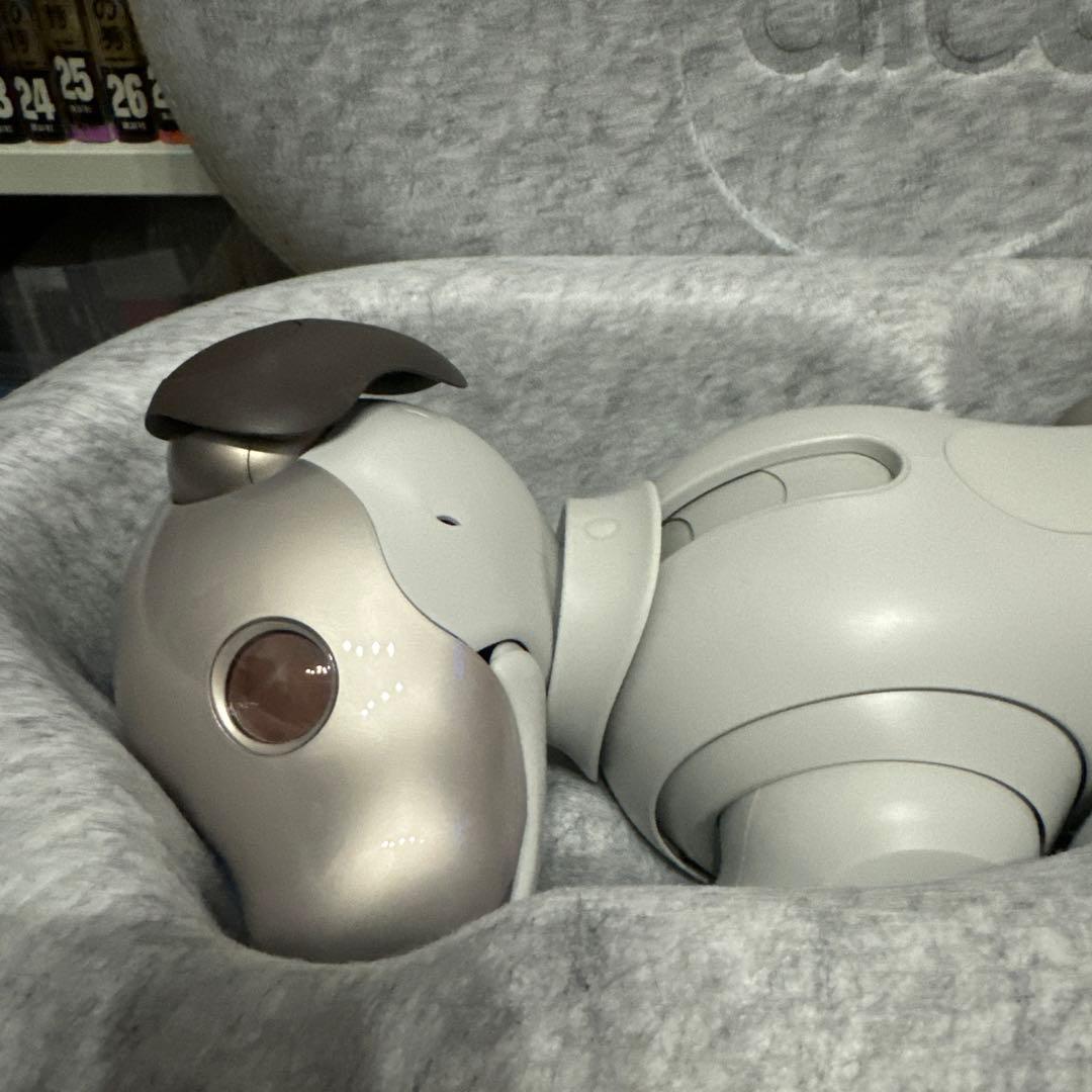 【本日1/19のみ！値引交渉承ります！！】SONY aibo ERS-1000