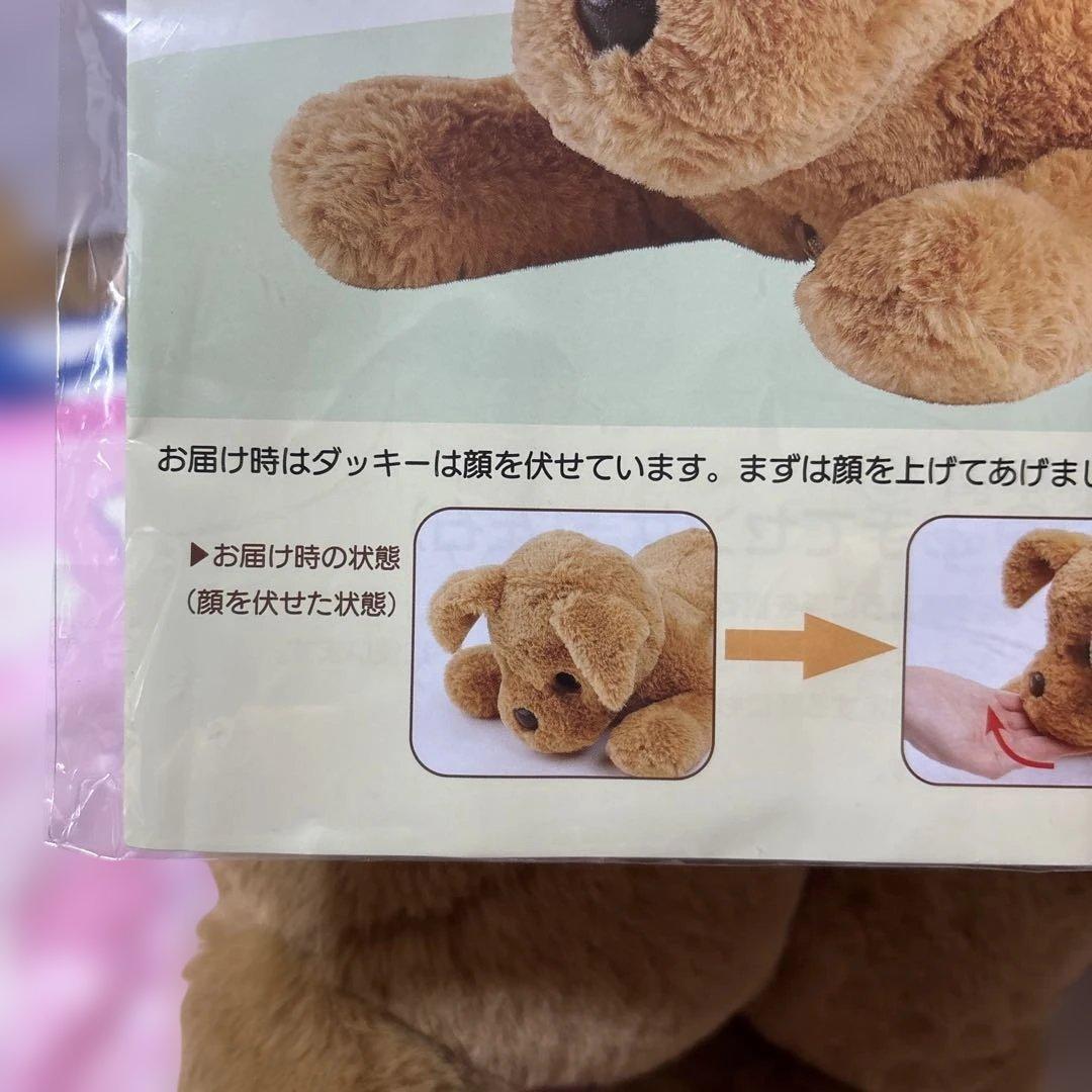 おしゃべりダッキー ココチモ ダッキースター　タカラトミー　美品　ほぼ未使用