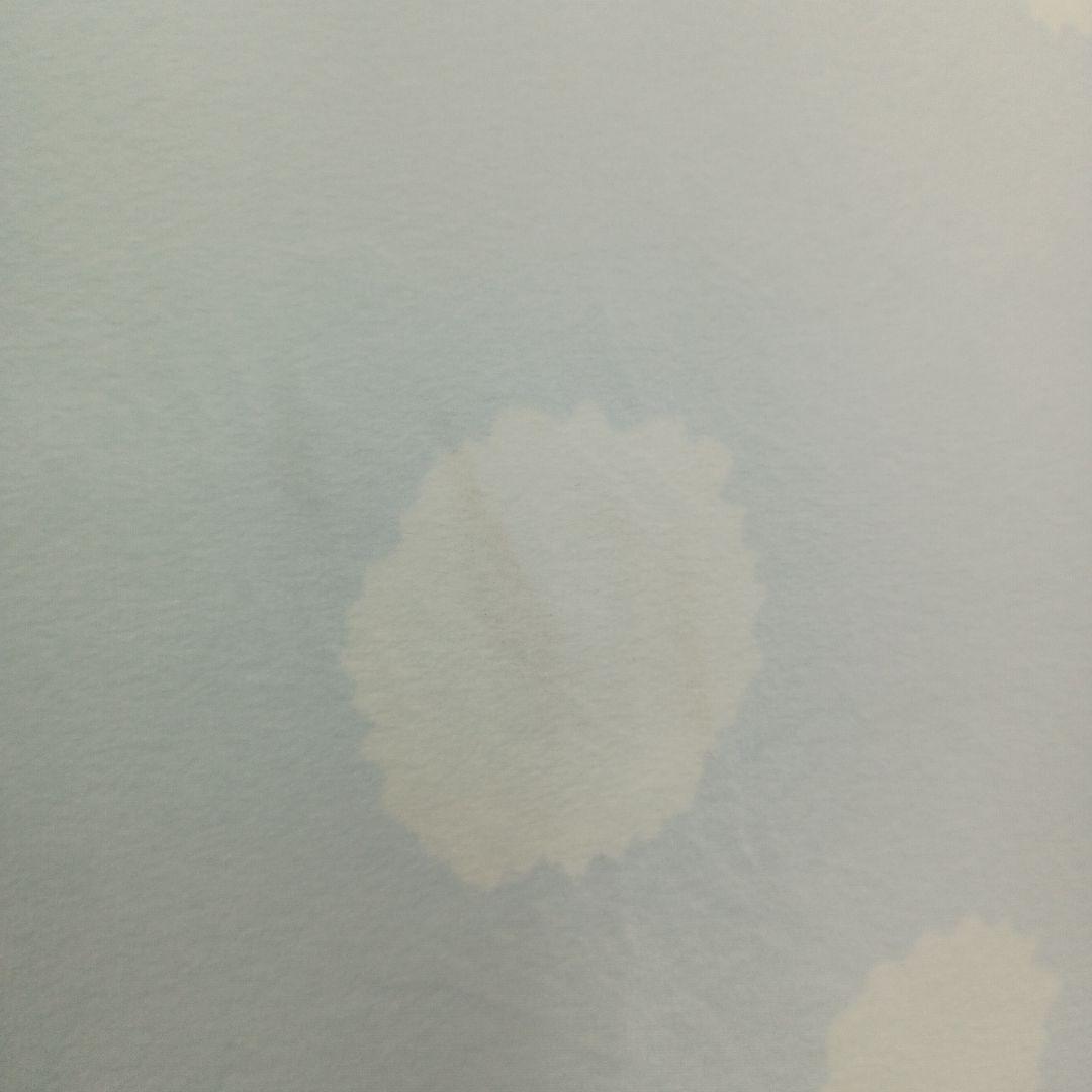 タグ付き　サンエックス　ジンベエさん　特大スーパーもーちもちぬいぐるみ　7th