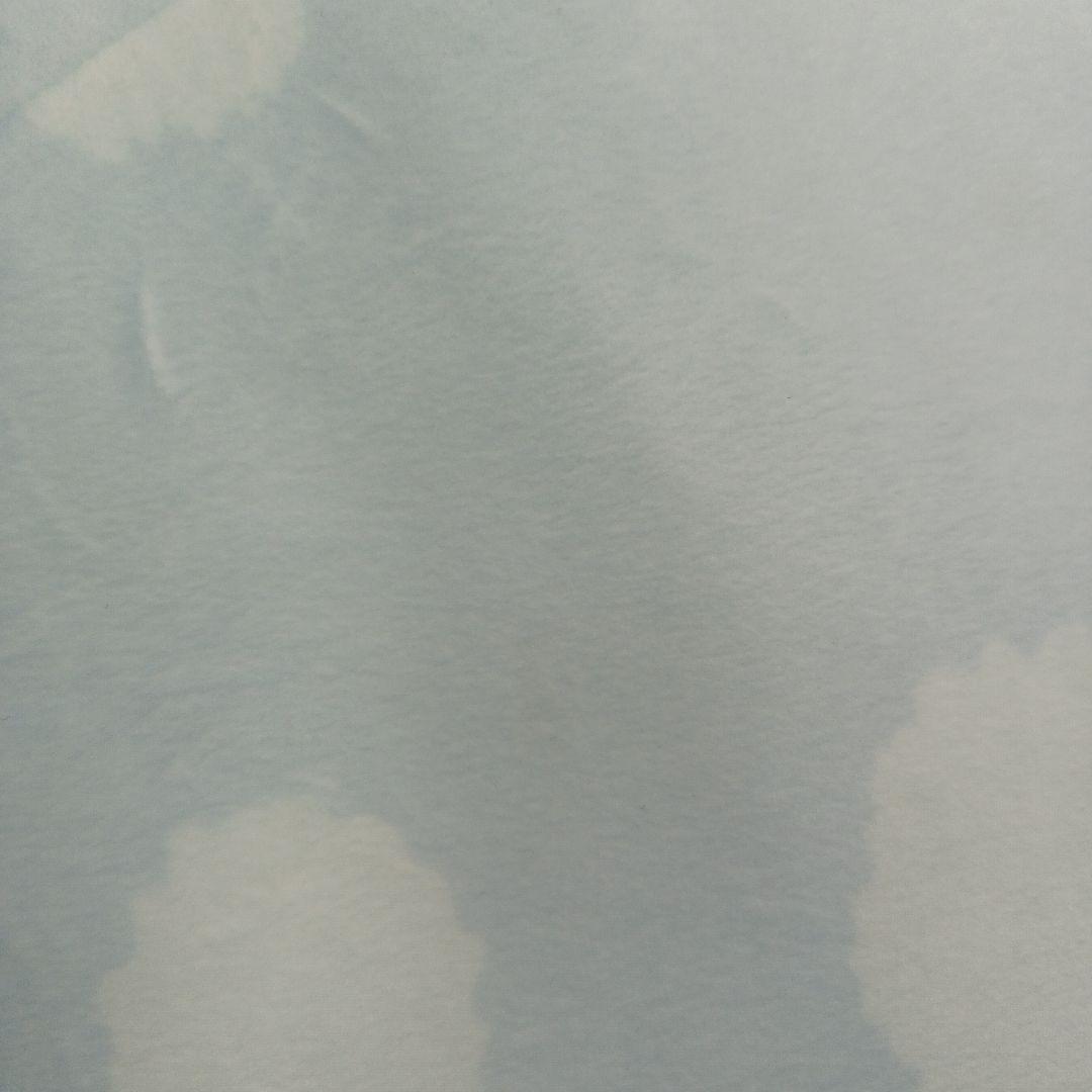 タグ付き　サンエックス　ジンベエさん　特大スーパーもーちもちぬいぐるみ　7th