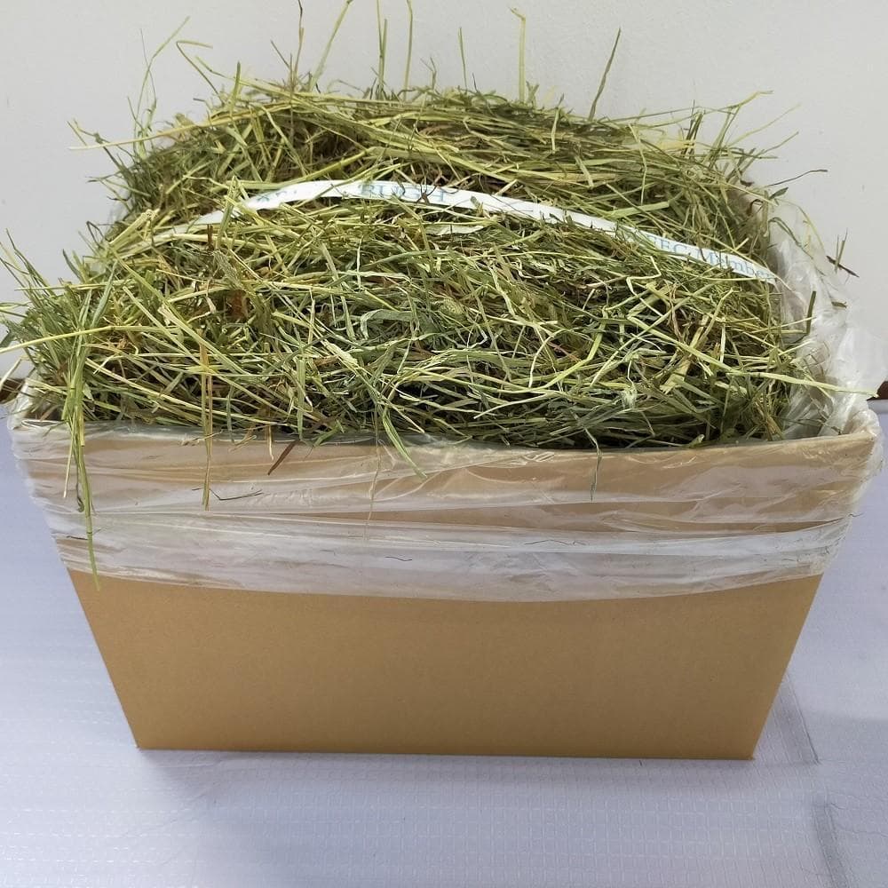 【12/30まで】US産 チモシー 60kg ２番刈り ソフトSプレミアム