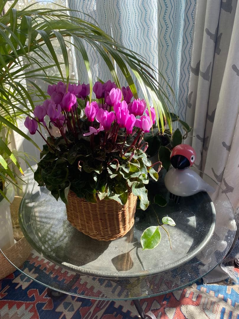 最終お値引きします！異国モロッコ　真鍮ガラステーブル