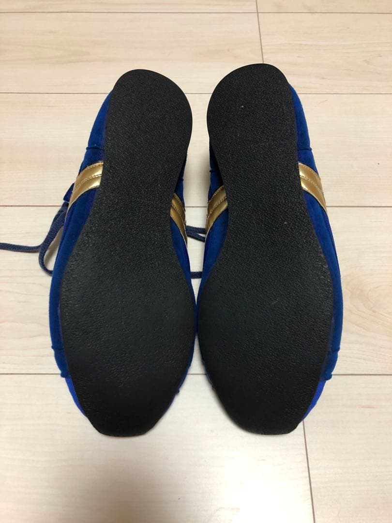 Mizuno ボクシングシューズ ブルー ハイカット 26㎝