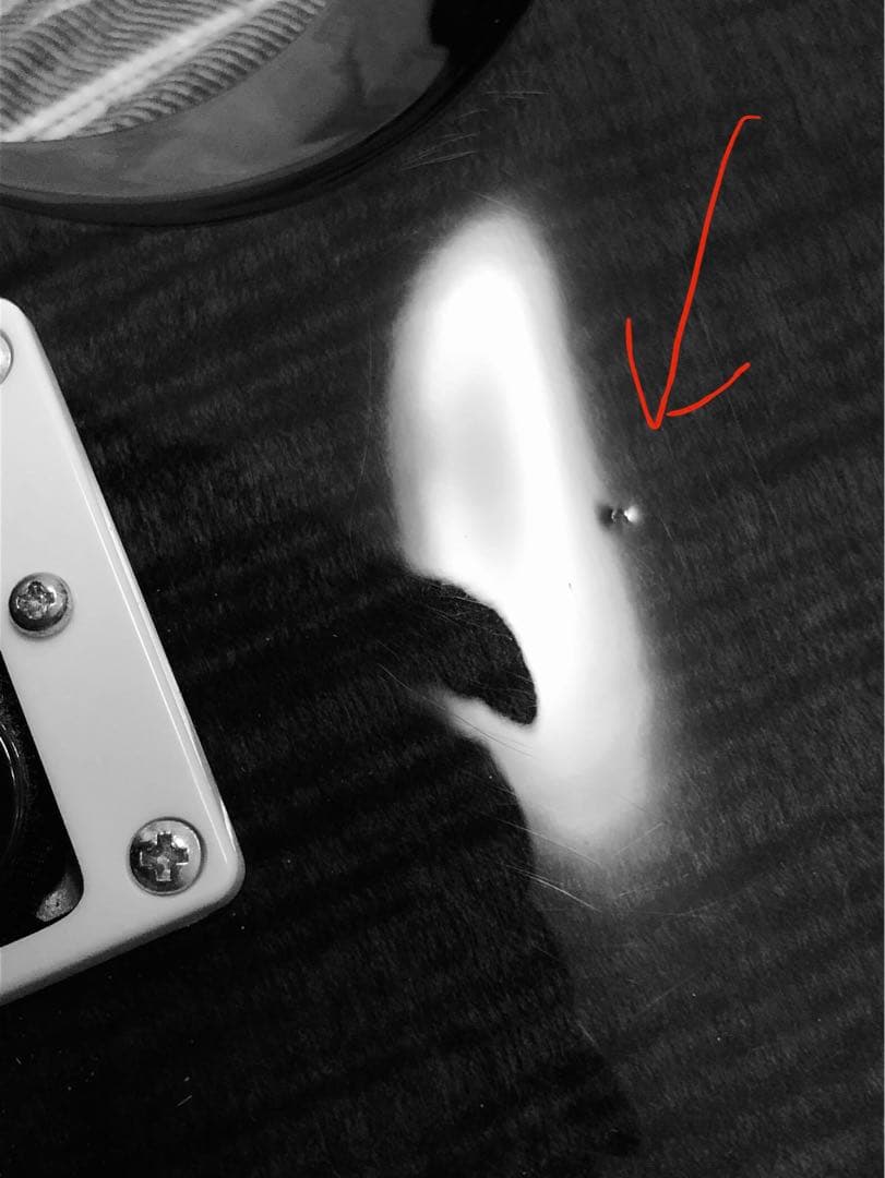 PRS SE Floyd Custom 24 グレーブラック ハードケース付き