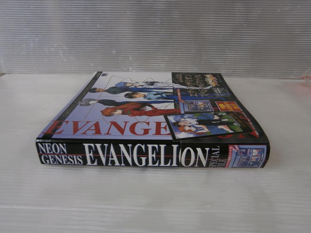 ヴァンゲリオン カードダス 108種フルコンプ+1枚＋ファイル 109枚セット
