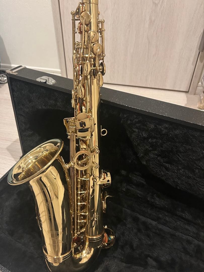 アルトサックス本体 ケース付き