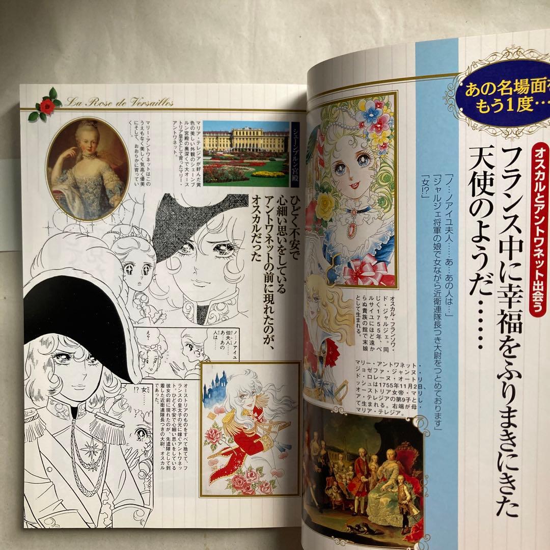 「ベルサイユのばら」その謎と真実　永久保存版　　2003年　匿名配送