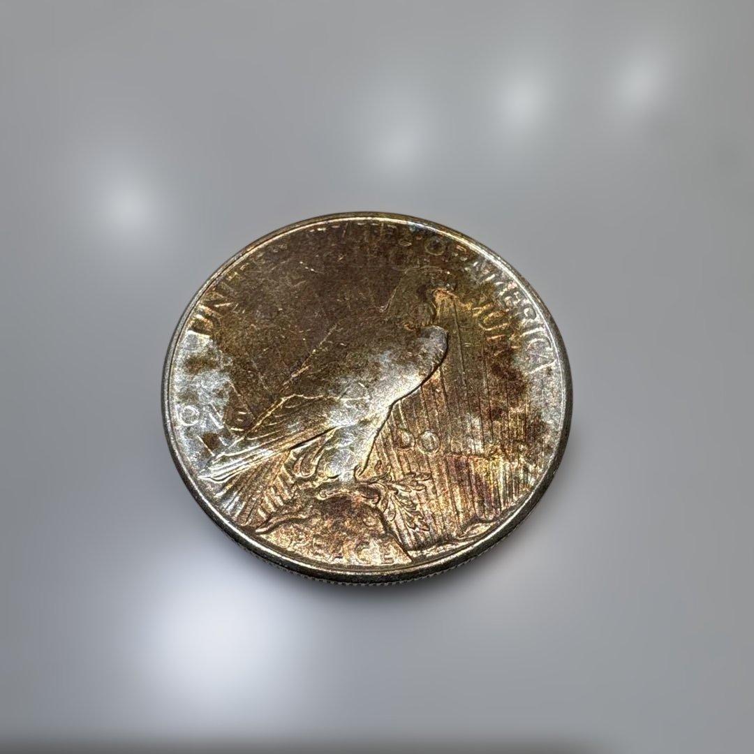 1923年 アメリカ合衆国 銀貨 ピースドル トーン