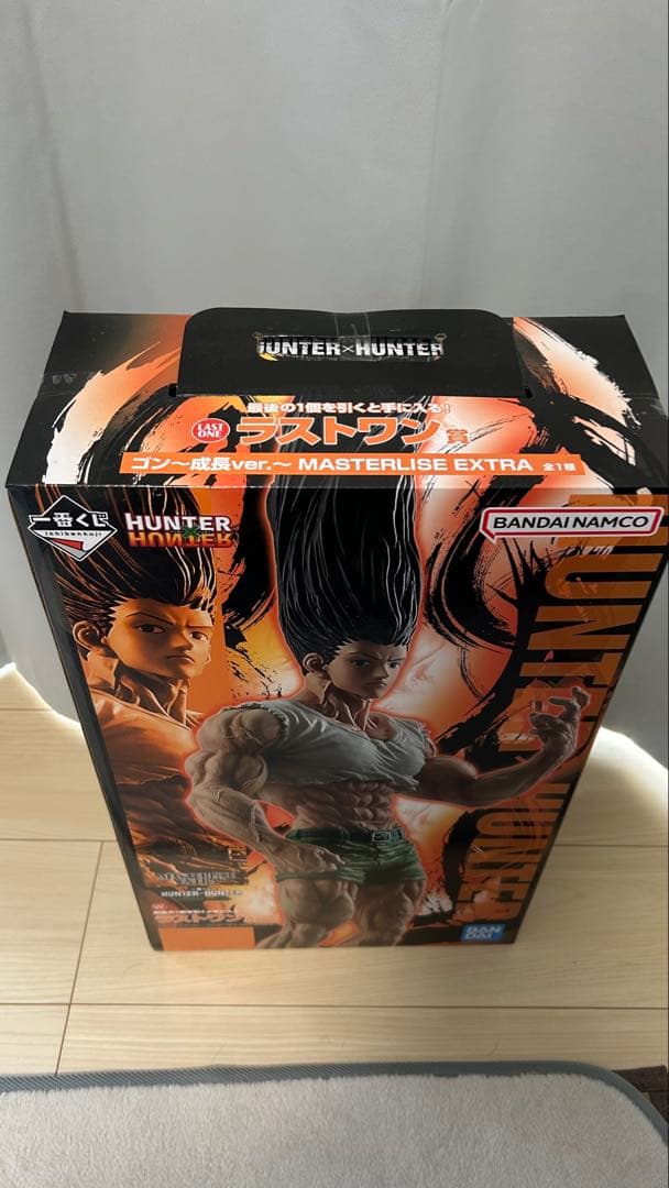 智*様 1番くじ HUNTER×HUNTER ラストワン賞 ゴン〜成長ver.