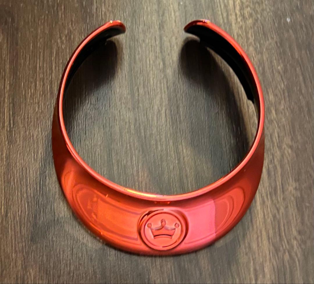 ⭐︎チワワさん専用⭐︎ aiboプレミアムプラン限定 首輪 赤 青