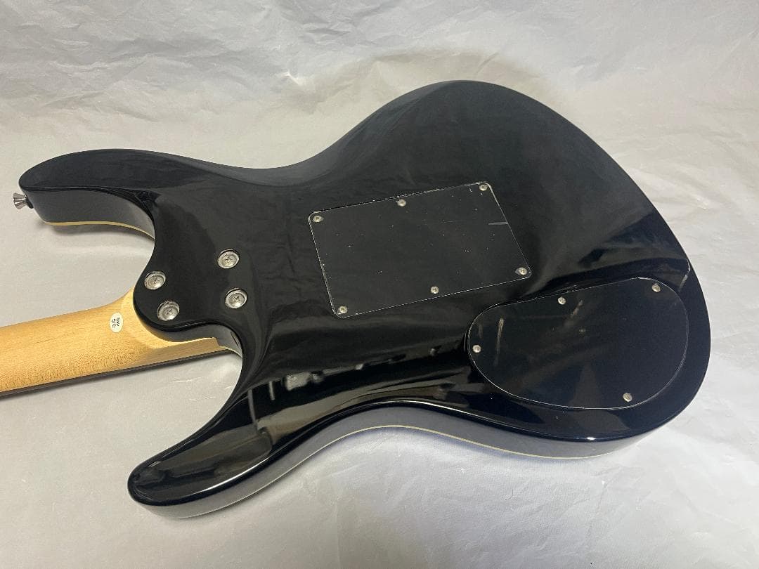 s*n様 Washburn RX25 虎目　シースルーブラック　Floyd Ro