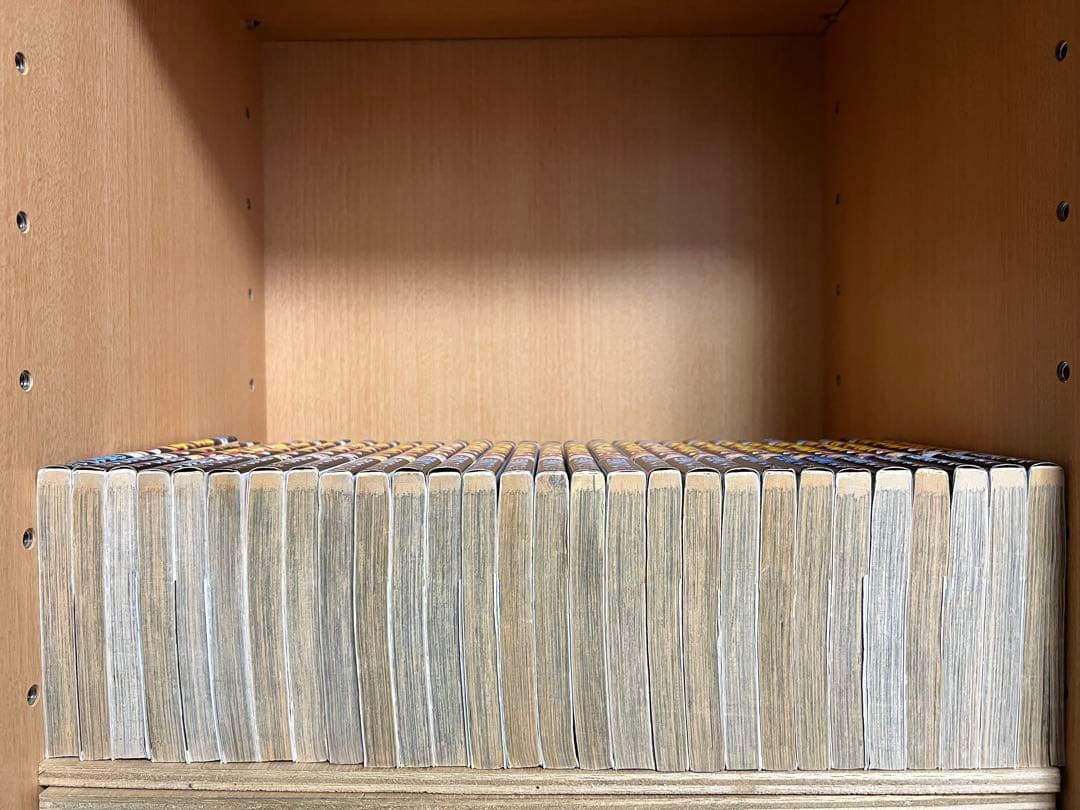 【完結】カメレオン 　全47巻 　まとめセット 　加瀬あつし