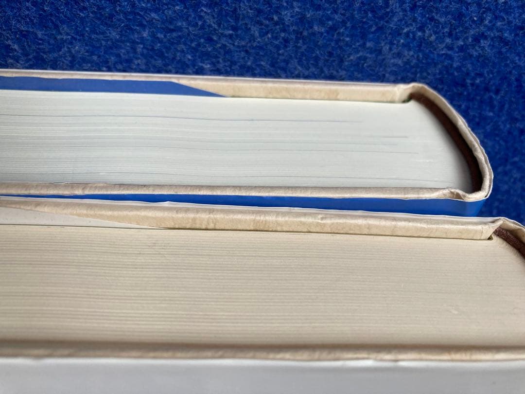 ヨーガ禅　道友　2冊セット