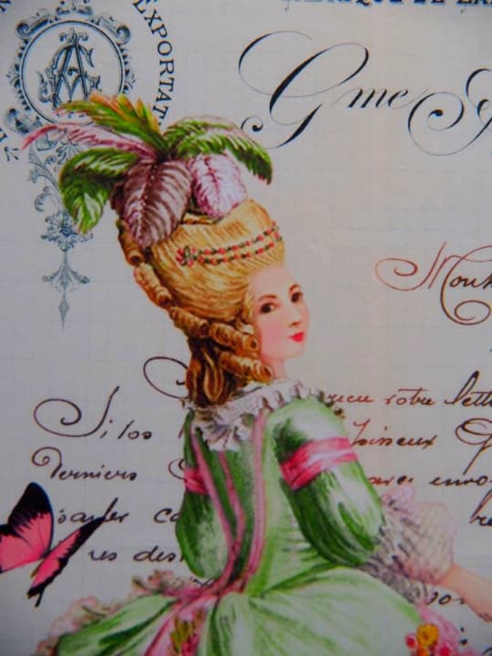 マリーアントワネット　大輪のピンクの薔薇　金額縁