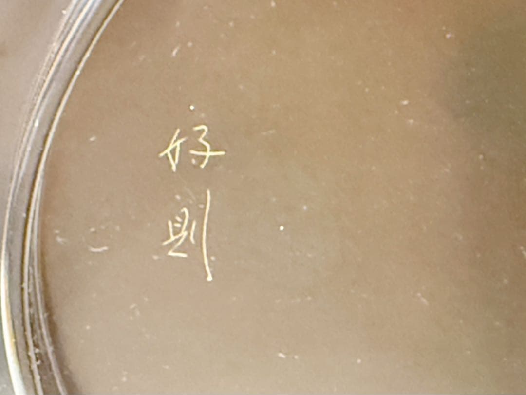 未使用 茶道具 塗師 好則造 輪島塗 牡丹文 干菓子盆 刻印 共布 共箱