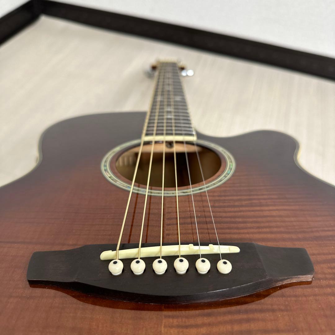 タカミネ Cooder TCP450ASG ソフトケース付き エレアコ ※r2※