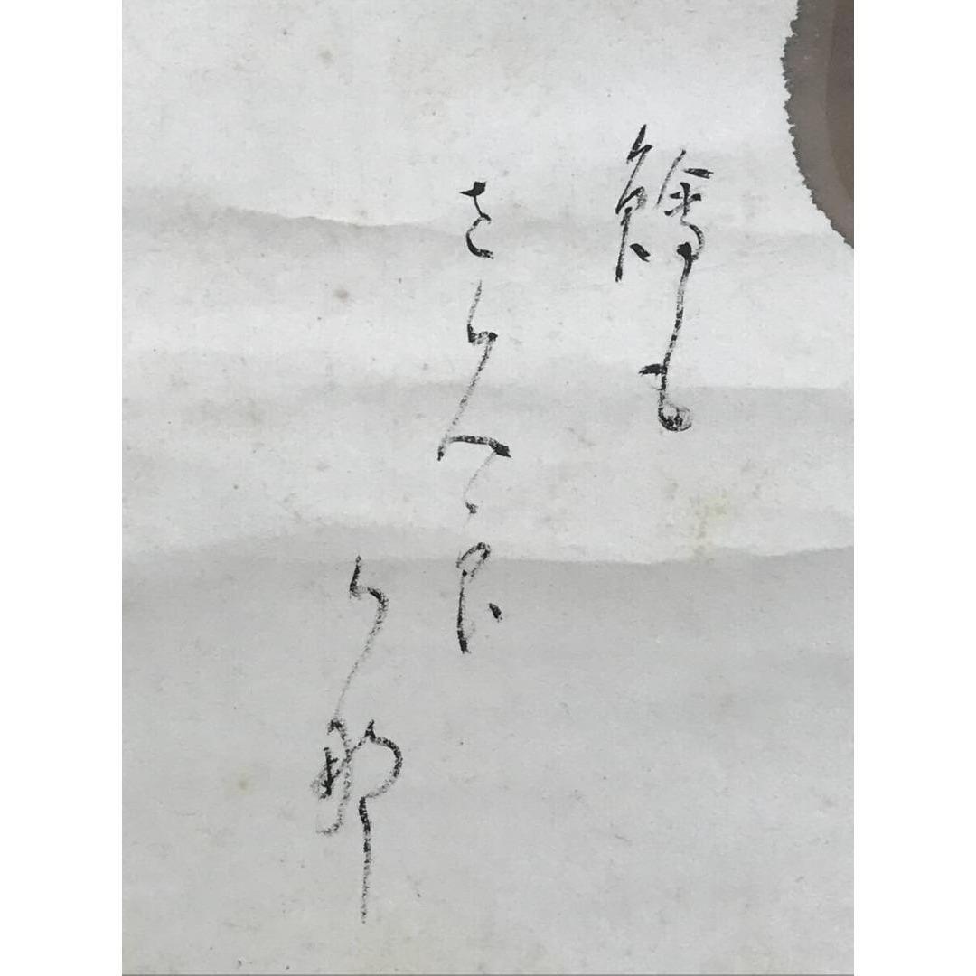 真作/木村棲雲/木村栖雲/瓢箪図/桜図/掛軸/名家伝来/AK-691