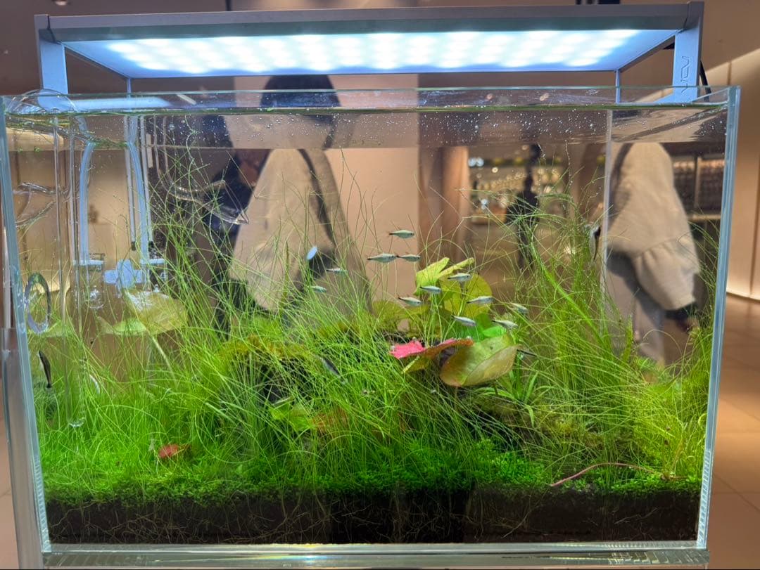 [ADA制作品] ADA アクアリウム 水槽 45cm セット