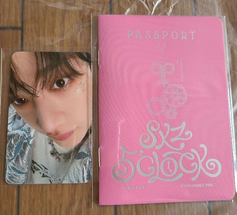 straykids スキズ テディ SKZOO ウルフチャン バンチャン ペンミ