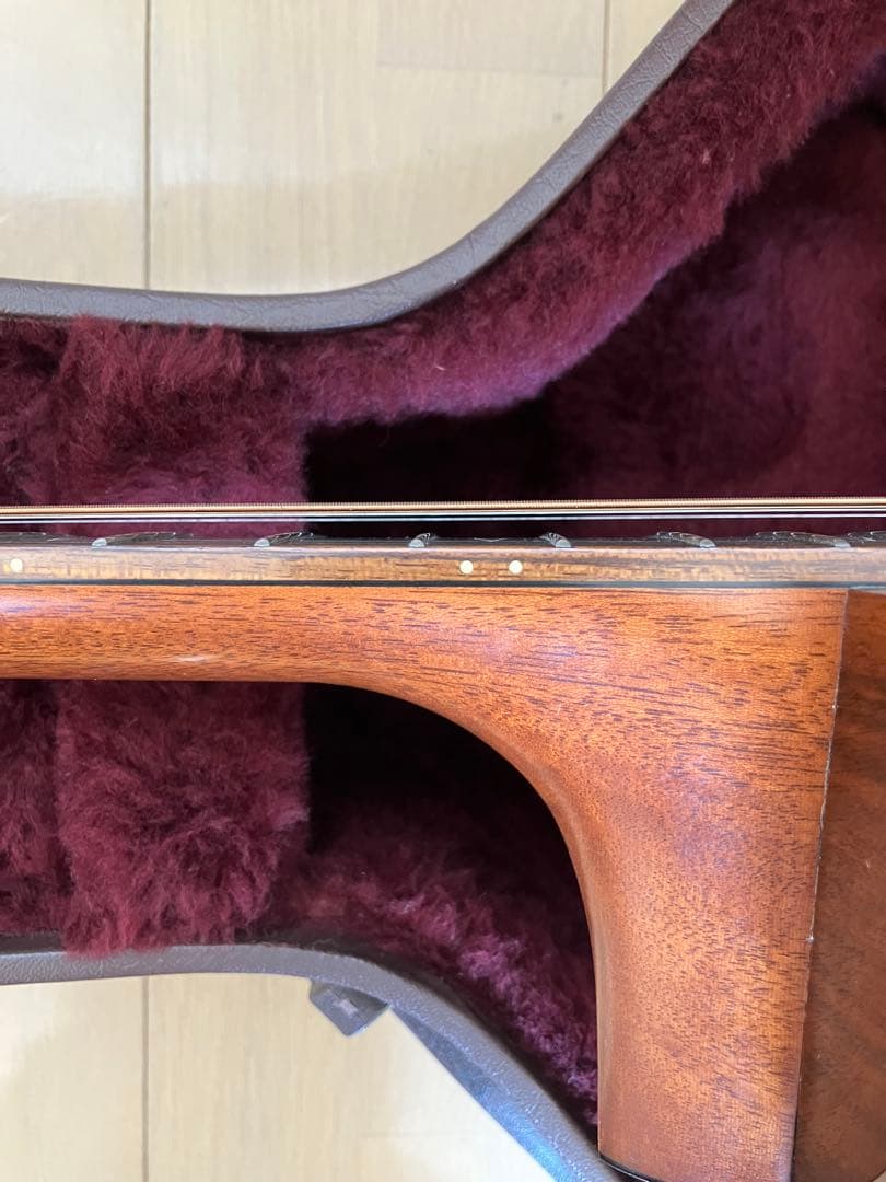 レア/希少　Martin DCPA 1 PLUS マーティン　縦ロゴ