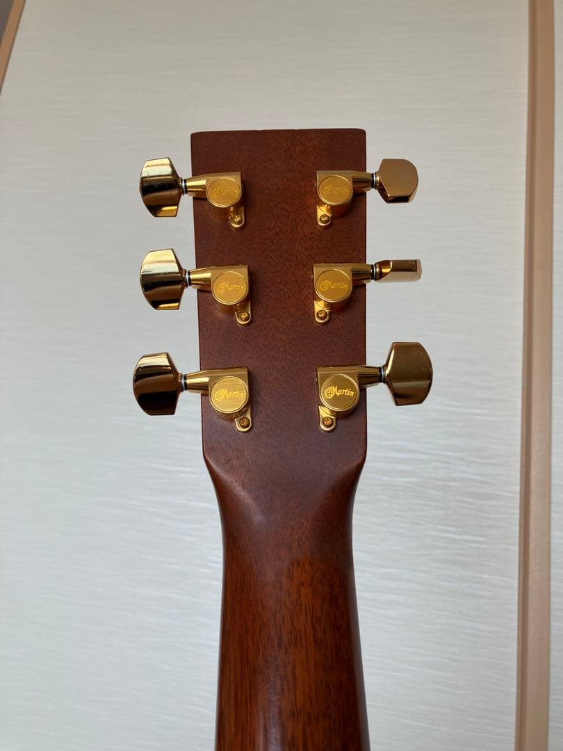 レア/希少　Martin DCPA 1 PLUS マーティン　縦ロゴ