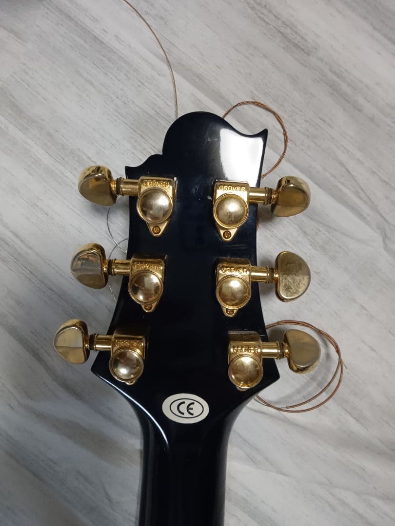 Greg Bennett SJ-16E/TBL エレアコ ケース付き