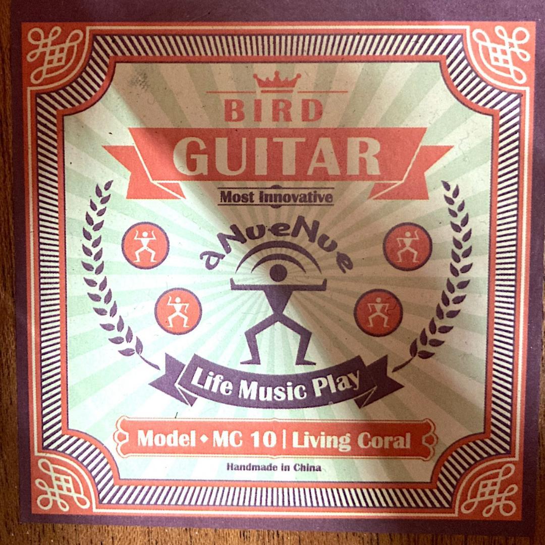 aNueNue aNN-MC10-LC アコースティックギター
