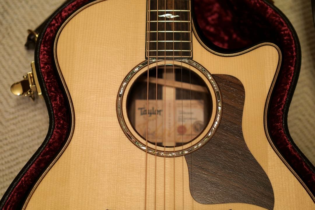 【早い者勝ち】　Taylor Builder’s Edition 814ce