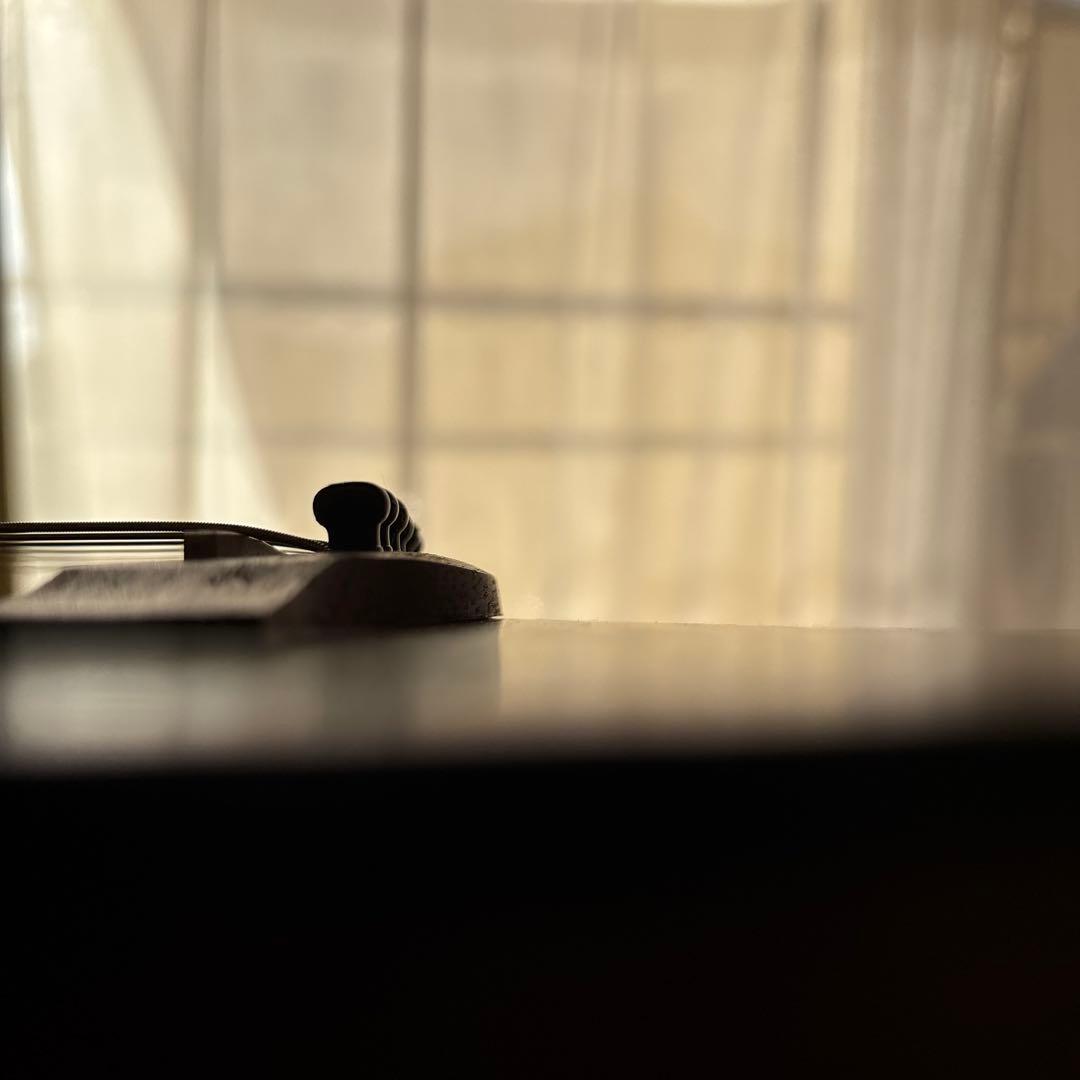 Ibanez EWP14WB-OPN ピッコロギター