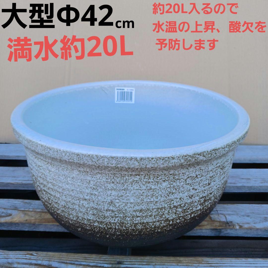 豆助　∅42　2個セット　陶器睡蓮鉢　メダカ鉢　難有　白　ホワイト　MWH