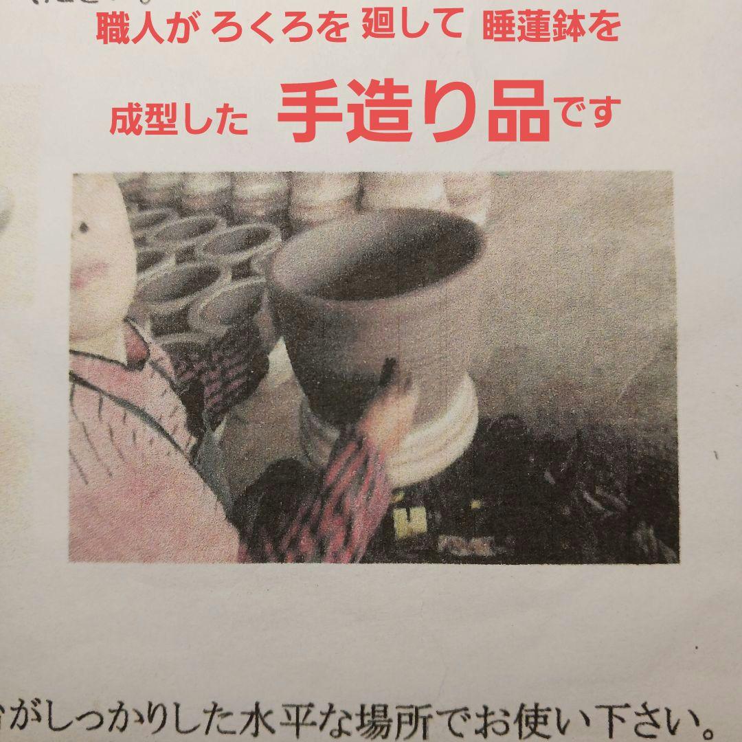 豆助　∅42　2個セット　陶器睡蓮鉢　メダカ鉢　難有　白　ホワイト　MWH