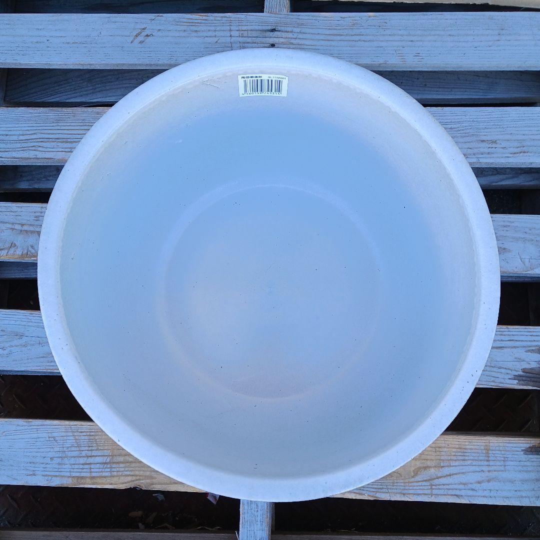 豆助　∅42　2個セット　陶器睡蓮鉢　メダカ鉢　難有　白　ホワイト　MWH