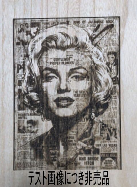 [行って帰る君]　ペットドア　ペット スルー