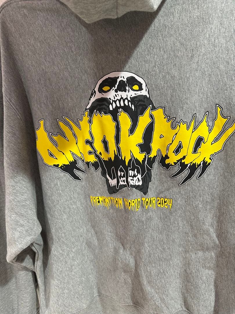 ミュージシャン ONEOKROCK PREMONITION WORLD TOUR 2024 M