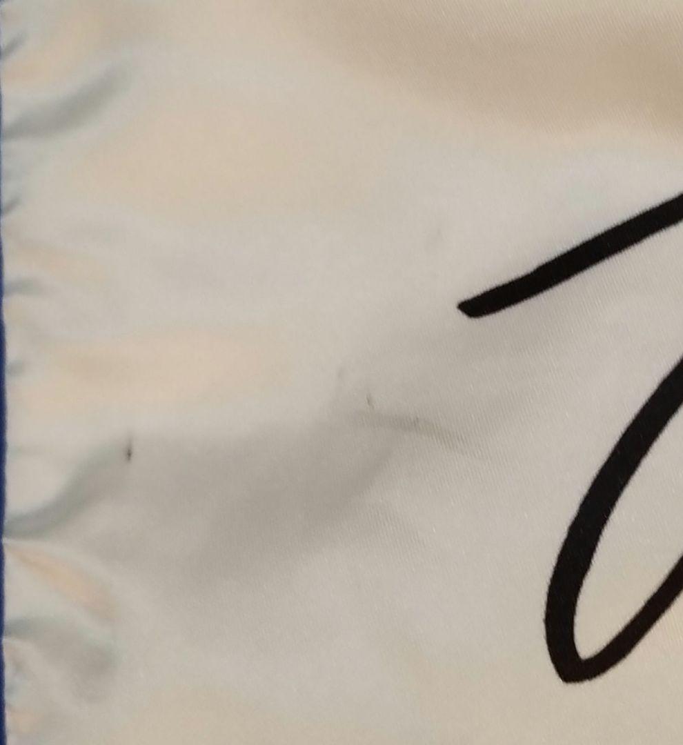 THE FIRST ファイナル　ブランケット