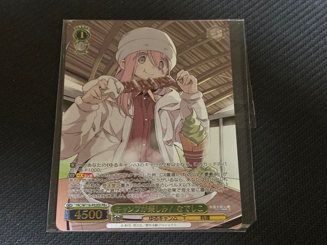 キャンプが楽しみ！　なでしこ　PR+