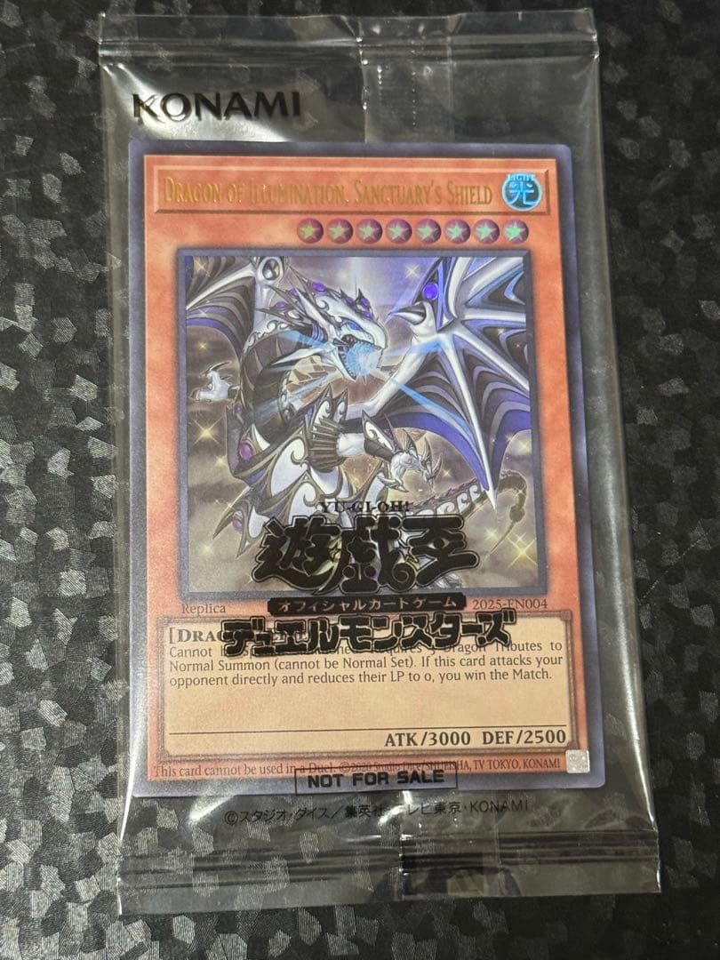 2025年日本選手権プロモ2種