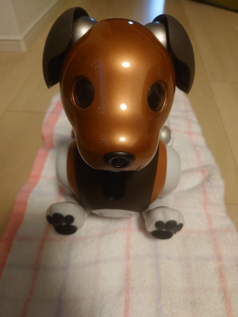 sony aibo ERS-1000 希少カラーのチョコエディション【値下げ】