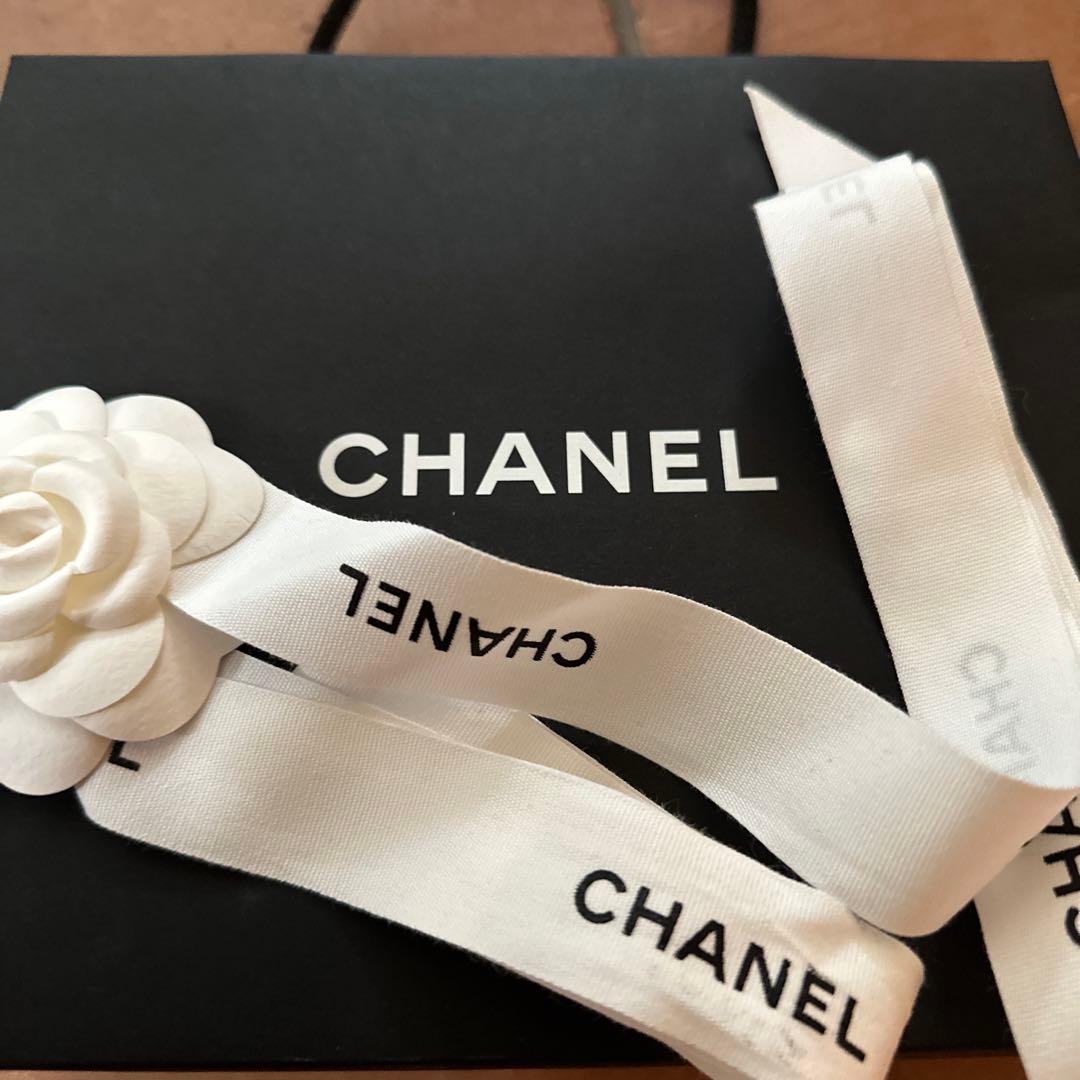 【希少】シャネル　キャビアスキンケース