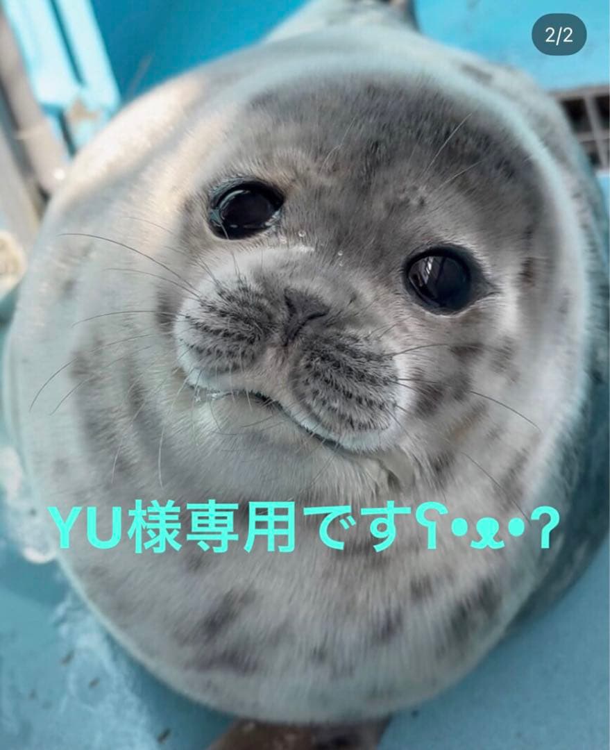 テレビ台・テレビボード YU