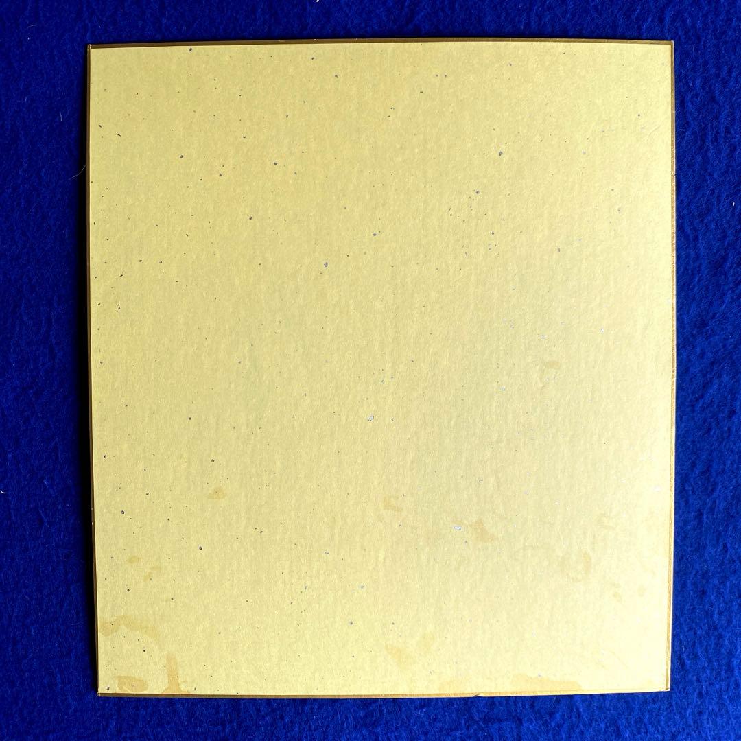 女優　宮沢りえ　直筆サイン　色紙　写真付