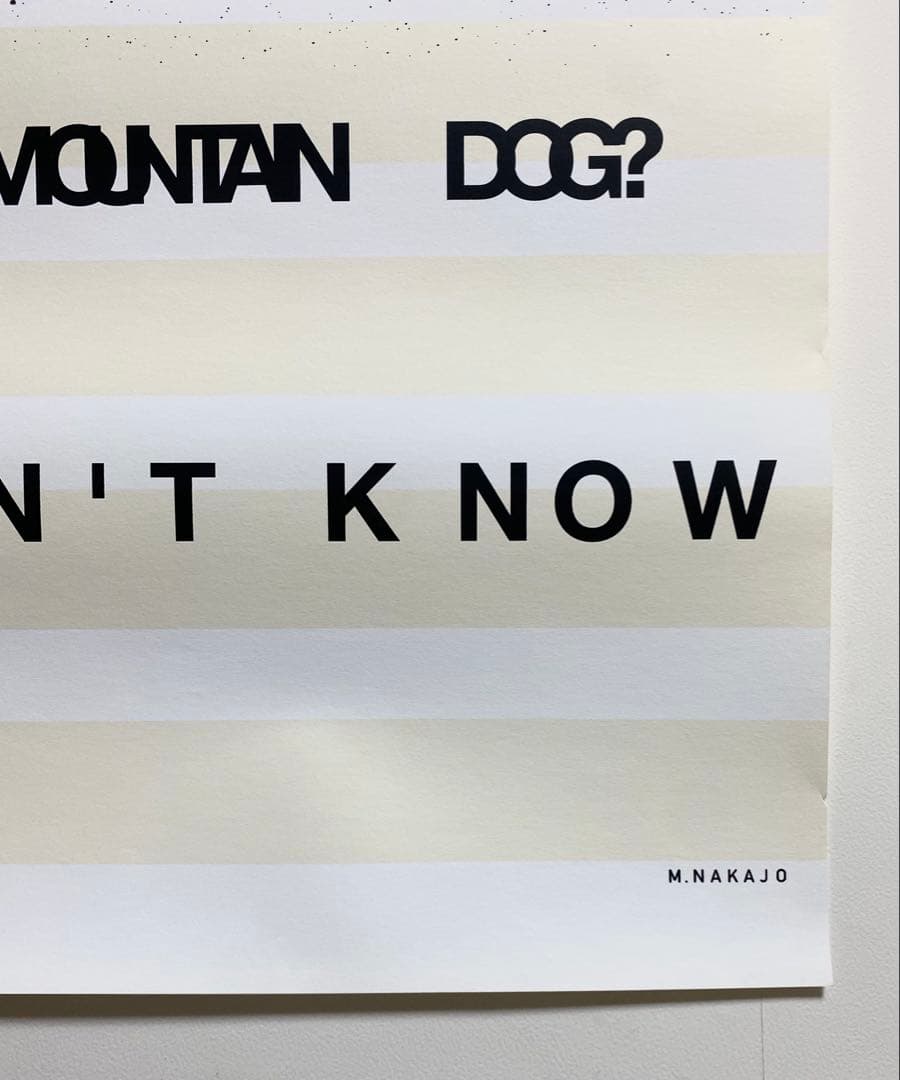 仲條正義《IS IT MOUNTAIN CAT OR MOUNTAIN DOG》