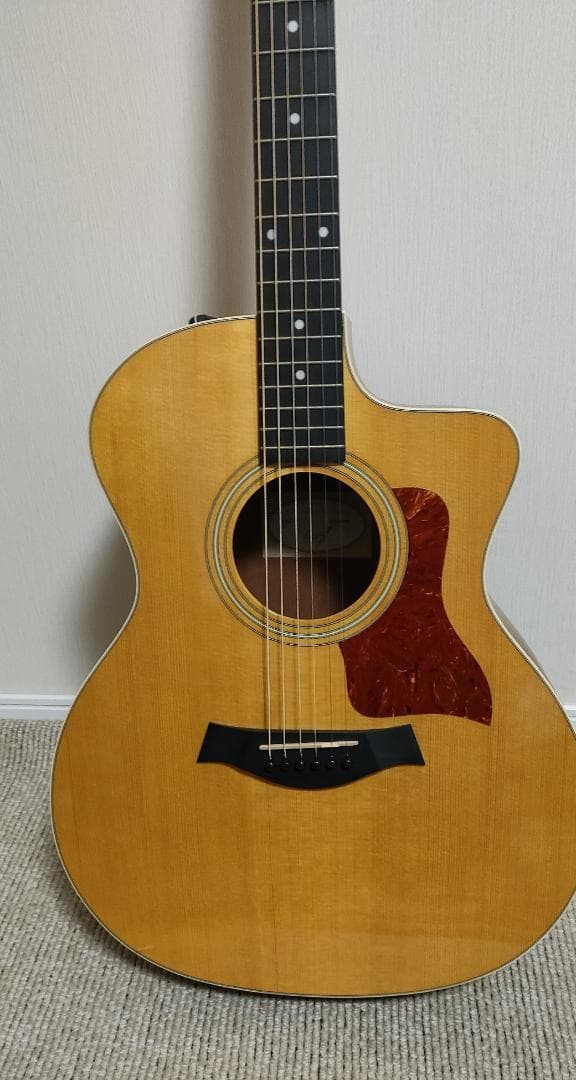 Taylor 214ce エレアコ アコースティックギター 純正ケース付き