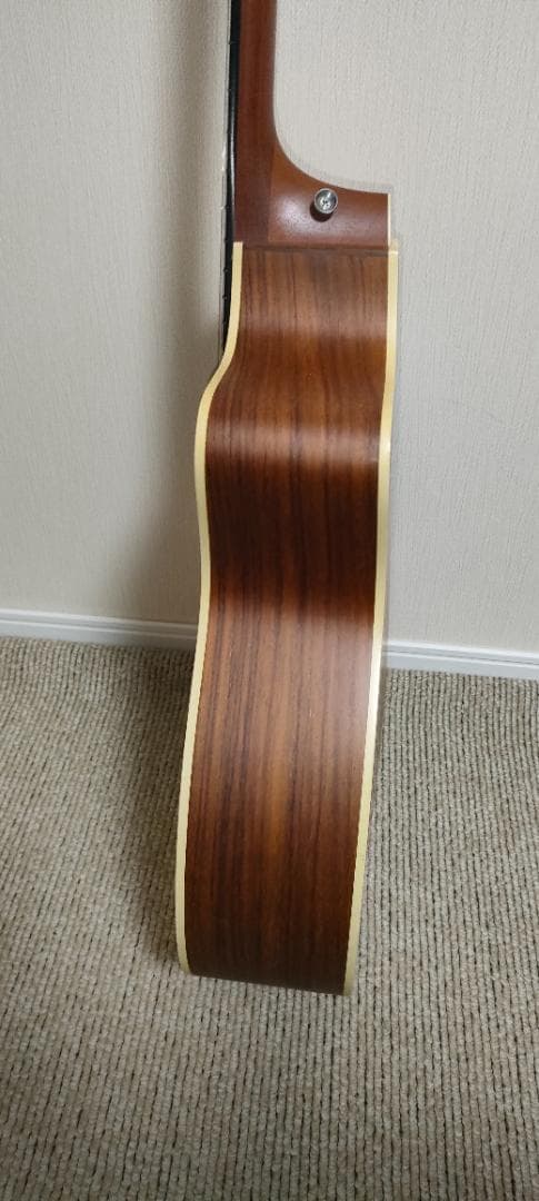 Taylor 214ce エレアコ アコースティックギター 純正ケース付き