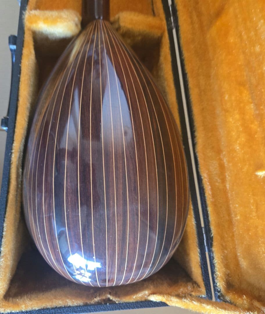 Suzuki M-30 マンドリン 本体 ハードケース付き