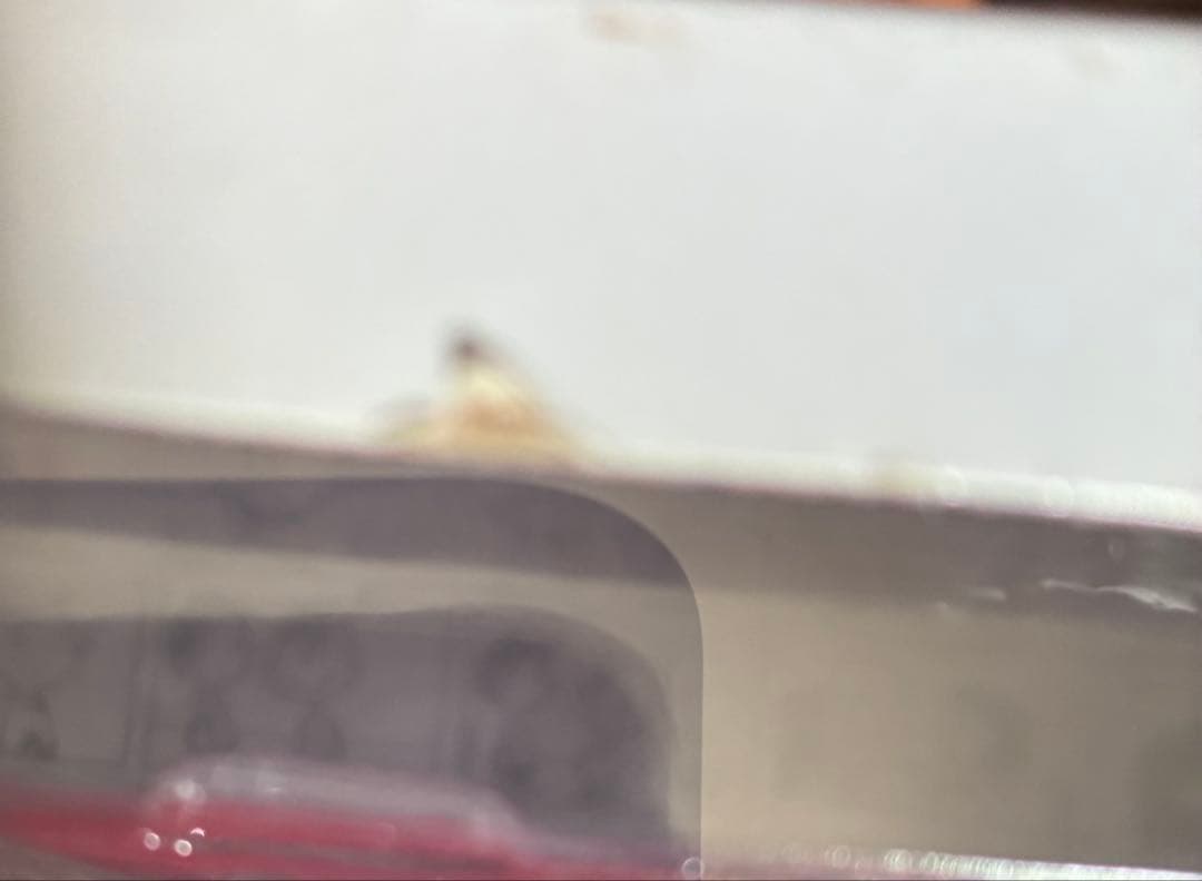 ねんどろいど スヌーピー　2200