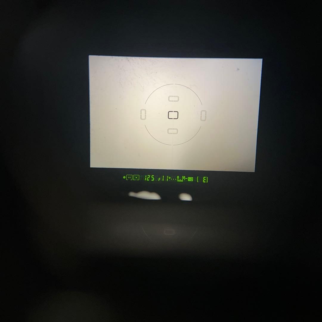 Nikon F80 ボディー 完動極美品